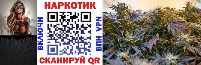 Наркошоп Петровск COCAIN ГАШИШ Метадон Канабис Галлюциногенные грибы